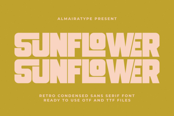 Download Sunflower - Sun Collection