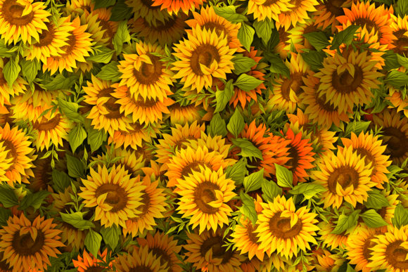 Download Sunflower Pattern High Quality - Sun Collection